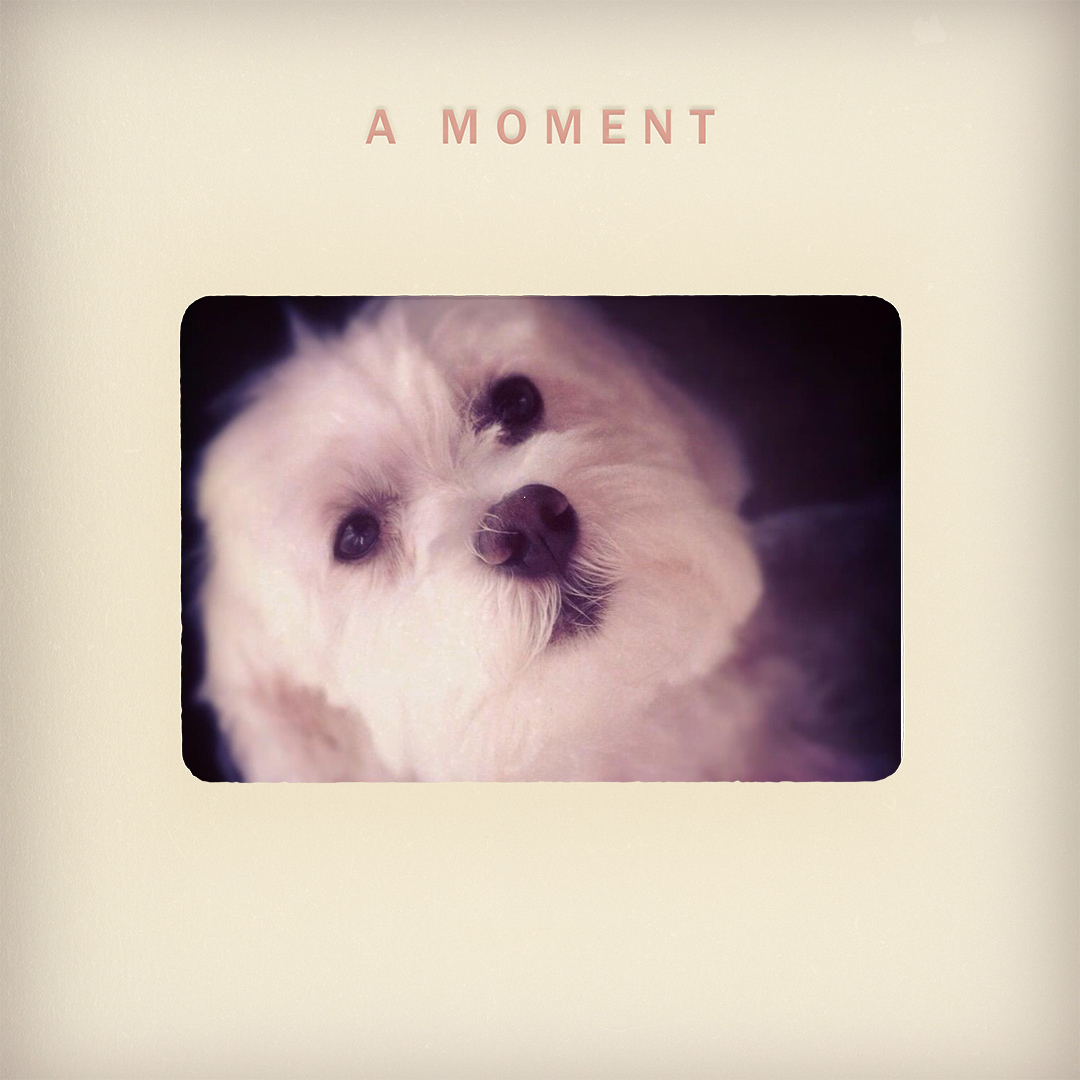 A Moment